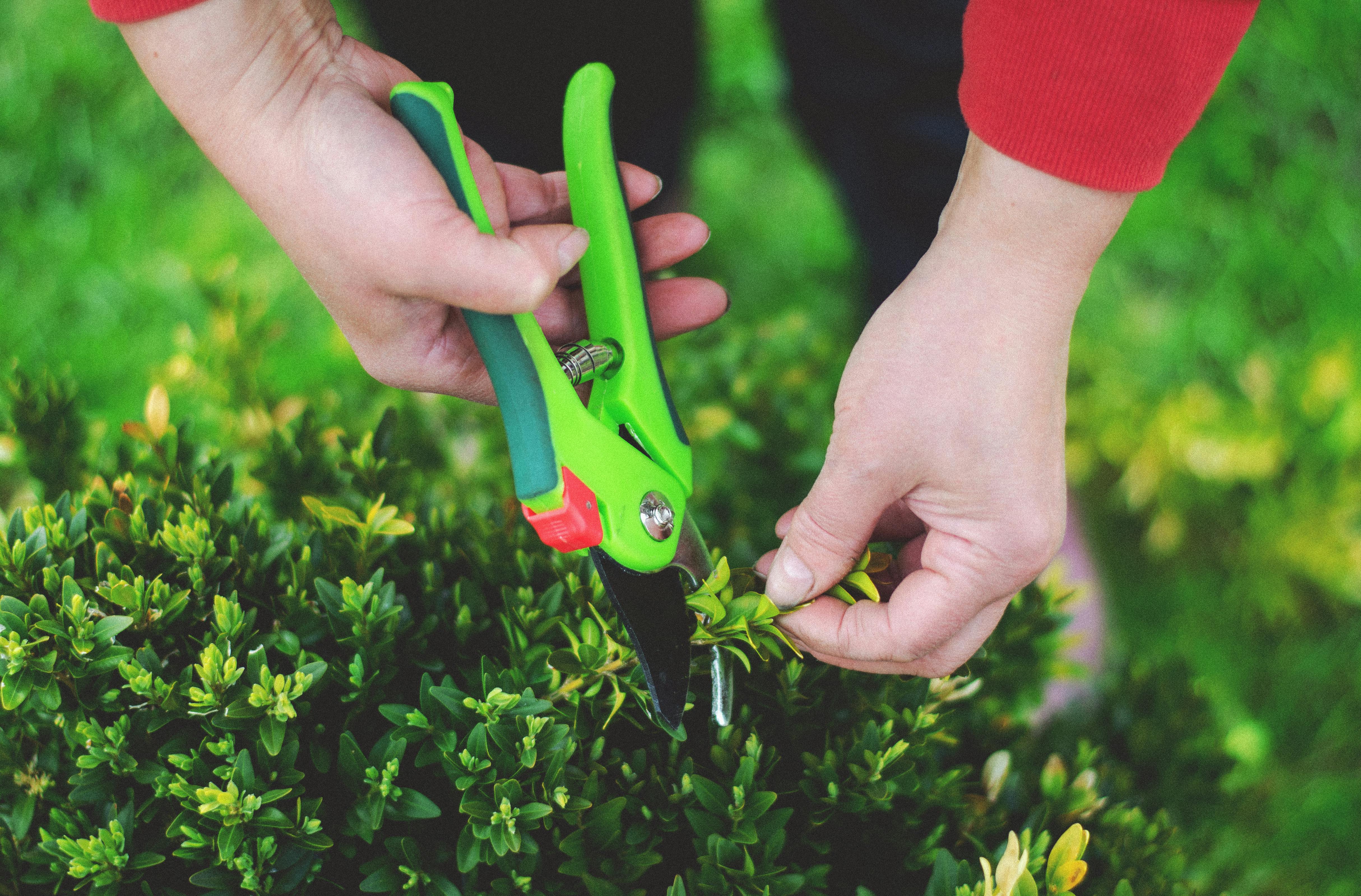 Landscaping