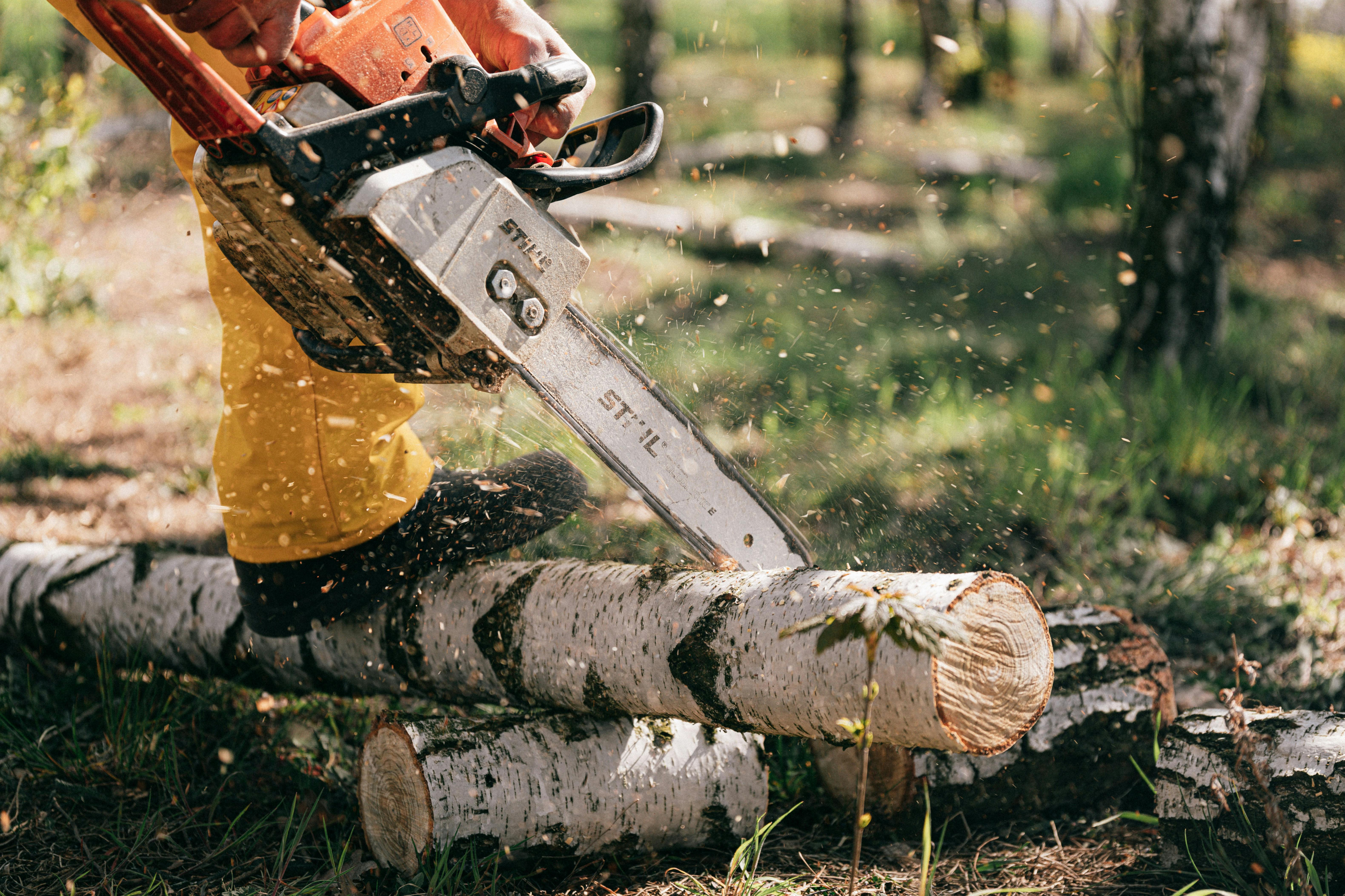 Tree Surgery